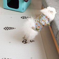 Elysia Treetree狗狗墊子 2入, 混色