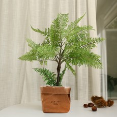 ASPASIA Cordelia Boston 迷你人造樹+紙袋, 牛皮紙（平裝本）, 1套