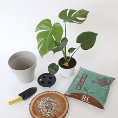 모리앤 저면관수 원형화분 2p + 분갈이 세트