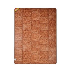한일의료기 거실용 온돌 마루 전기 매트 레드브릭 HL-RED-2700, 183 x 270 cm
