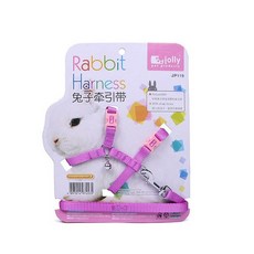 Jolly Pet Products 兔子胸背帶牽引繩 JP119, 隨機出貨, 1個
