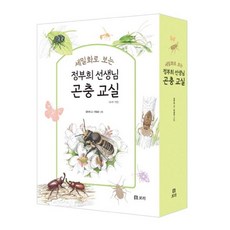 정부희 선생님 곤충 교실 5종 세트, 보리출판사
