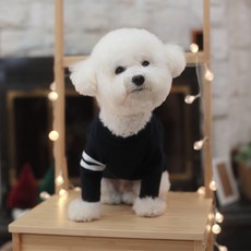 寵物口袋T恤, 海軍藍