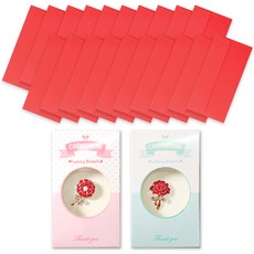 康乃馨感謝胸針 2款 + 彩色橫式現金信封 20入組, 紅色, 1套