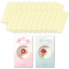 康乃馨感謝胸針 2款 + 彩色橫式現金信封 20入組, 象牙白, 1套