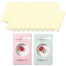 2Youngdesign 康乃馨愛心胸針 2款 + 彩色直式零用錢信封 20入組, 象牙白, 1套