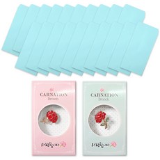 2Youngdesign 康乃馨愛心胸針 2款 + 彩色直式零用錢信封 20入組, 藍色, 1套