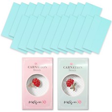 2Youngdesign 康乃馨愛心胸針 2款 + 彩色橫式現金信封 20入組, 藍色, 1套