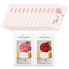 康乃馨胸花2款 + 康乃馨零用錢信封12入組, 永遠感謝, 1套