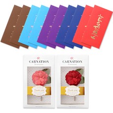 카네이션 부토니에 2종 + 골드 캘리 돈봉투 가로형 5종 x 2p 세트, 사랑, 1세트
