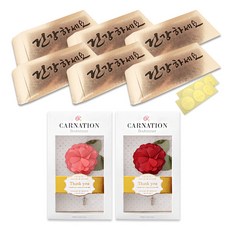 康乃馨胸花2款 + 金色零用錢信封6入組, 健康, 1套