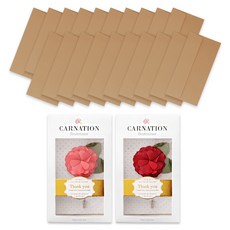 카네이션 부토니에 2종 + 컬러 가로형 돈봉투 20p 세트, 브라운, 1세트