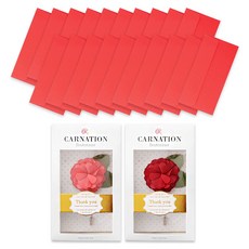 康乃馨胸花2款 + 彩色橫式現金信封20入組, 紅色, 1套