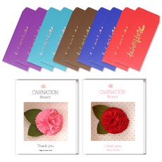 2Youngdesign 康乃馨胸針2款 + 金色書法直式紅包袋5款 10入, 感謝您, 1套