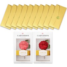 카네이션 부토니에 2종 + 펄 용돈 봉투 5종 x 2p 세트, 골드, 1세트
