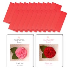 2Youngdesign 康乃馨胸針 2款 + 彩色橫式現金信封 20入, 紅色, 1套