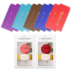 康乃馨胸花2款 + 金色書法現金信封直式5款 x 2入套組, 感謝, 1套