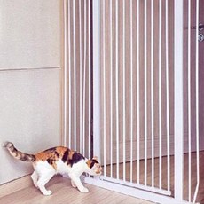 키워보리 고양이 안전문, 혼합색상