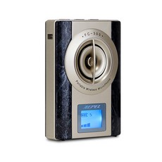 AEPEL 유무선 강의용 마이크 스피커 32W, FC-300