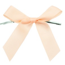 Donna&deco Flo 羅紋緞帶包裝束帶, 蜜桃色, 50個