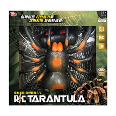 씽크 무선조정 타란튤라 RC동물, 혼합색상, 1개