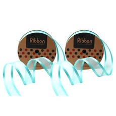 포포팬시 오간디 D 리본 26mm, 민트, 13.7m, 2개