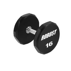 로버스트 고무코팅 아령 16kg, 1개