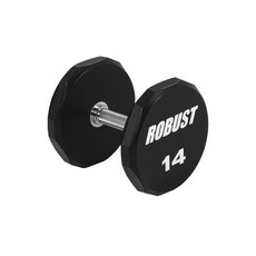 로버스트 고무코팅 아령 14kg, 1개