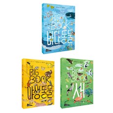 THE BIG BOOK (전3권), 보림