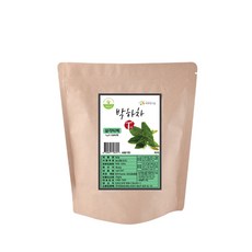 양원농장 박하차, 1g, 100개입