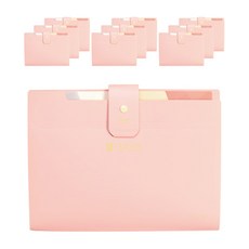 morning glory 4500 Clever 8分類簡易文件夾, 10個, 粉紅色