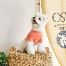 BENNYS 衝浪狗狗T恤, 橘色