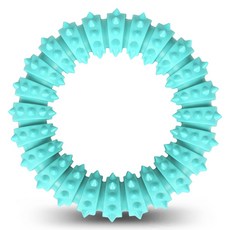 DING DONG PET 寵物鉚釘牙垢清除環 L號, 薄荷色, 1個