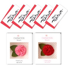 2Youngdesign 康乃馨胸針 2款 + 書法3折永遠感謝現金信封 5入, 混合色, 1套