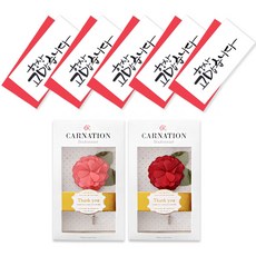 투영디자인 카네이션 부토니에 2종 + 캘리 3단 항상고맙 돈봉투 5p, 혼합색상, 1세트