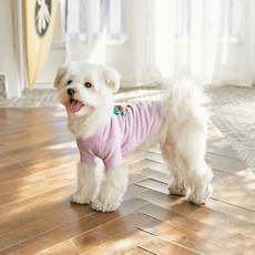 BENNYS 夕陽小狗T恤, 紫色, 1個