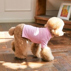 BENNYS 經典翻領狗狗T恤, 粉紅色