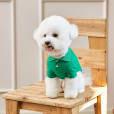 BENNYS 經典翻領狗狗T恤, 綠色