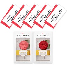투영디자인 카네이션 부토니에 2종 + 캘리 3단 항상감사 돈봉투 5p, 혼합색상, 1세트