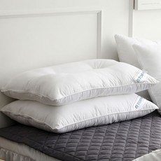 TOMY DECO Nano Peel 枕芯 2入, 白色的