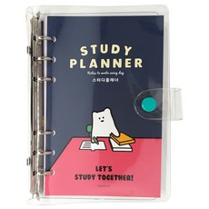 Pinkfoot 6 球學習計劃書 10000, 海軍