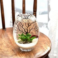 Helloaqua 水族箱裝飾組 T-19, 混色