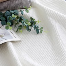 AASH& 被墊組合使用, 白色的