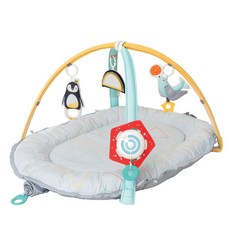 타프토이즈 뮤지컬 뉴본 코지 짐 영아완구, 혼합색상, 1개