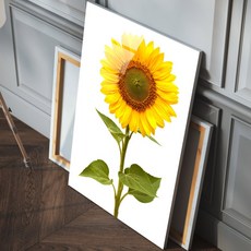 頂級向日葵壓克力畫框, 幸運向日葵8, 1個