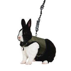 KAYTEE 用於小動物的 Harness XL, 混色, 1個