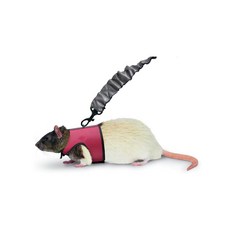 케이티 소동물 전용 하네스 S, 혼합색상, 1개