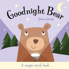 Goodnight Bear, Imagine That Publishing