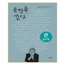 문학을 걷다(큰글자책):김윤식이 만난 문학 이야기, 그린비