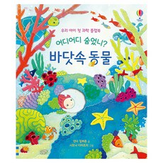 어디어디 숨었니? 바닷속 동물:우리 아이 첫 과학 플랩북, 어스본코리아, 없음null